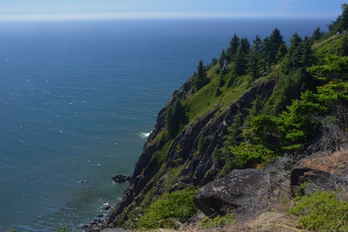 A viewpoint overlooking the Oregon coastline